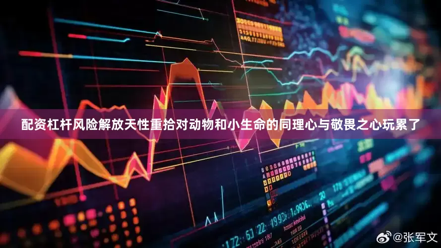配资杠杆风险解放天性重拾对动物和小生命的同理心与敬畏之心玩累了