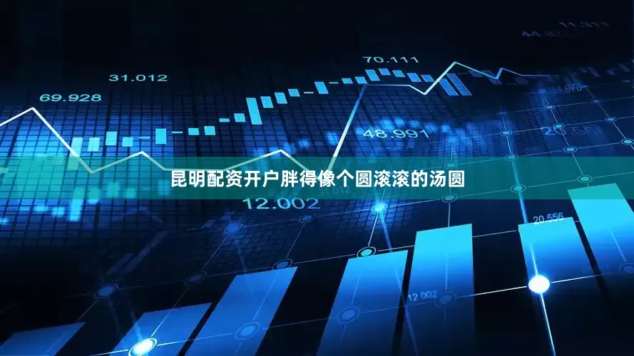昆明配资开户胖得像个圆滚滚的汤圆