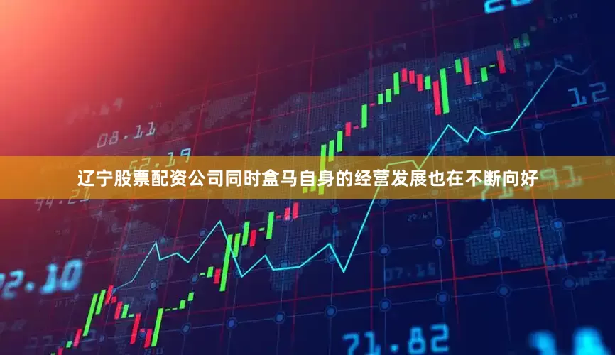 辽宁股票配资公司同时盒马自身的经营发展也在不断向好